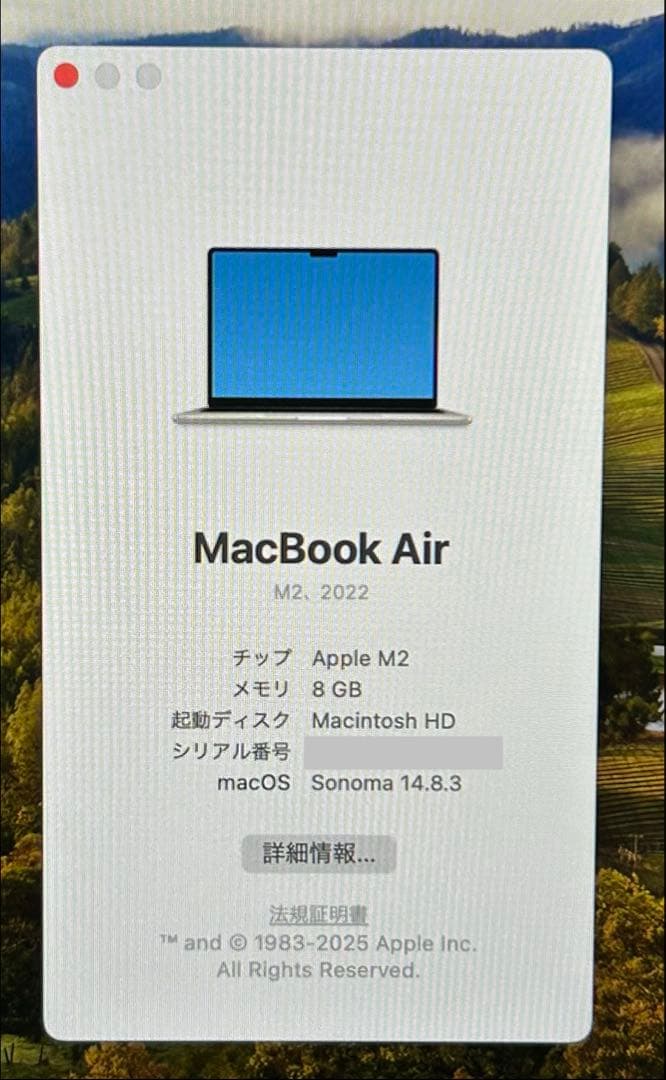 MacBook Air M2 2022 スターライト 8GB 512GB 90%