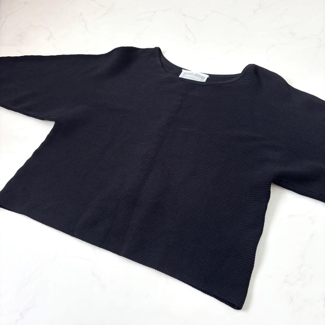 【極美品 25AW】ビアズリー 後ろパールニット ブラック 完売品 総リブ F