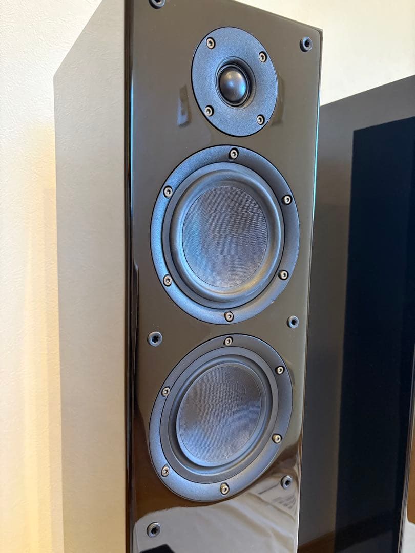 DENON　トールボーイスピーカー　SC-T55SG　スピーカーケーブル付