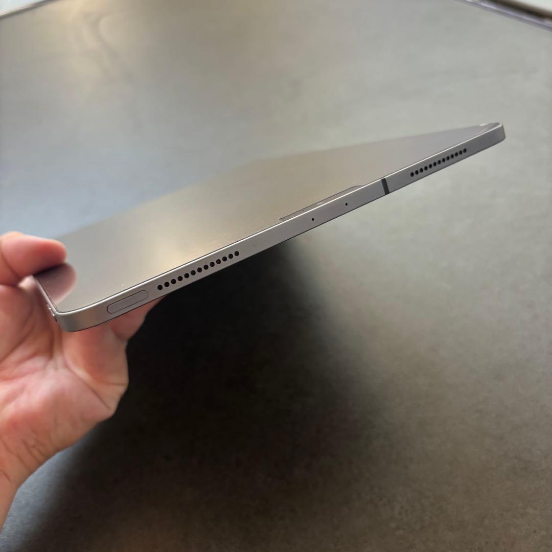 iPad Pro11インチ256 セルラーSIMフリーApple Pencil