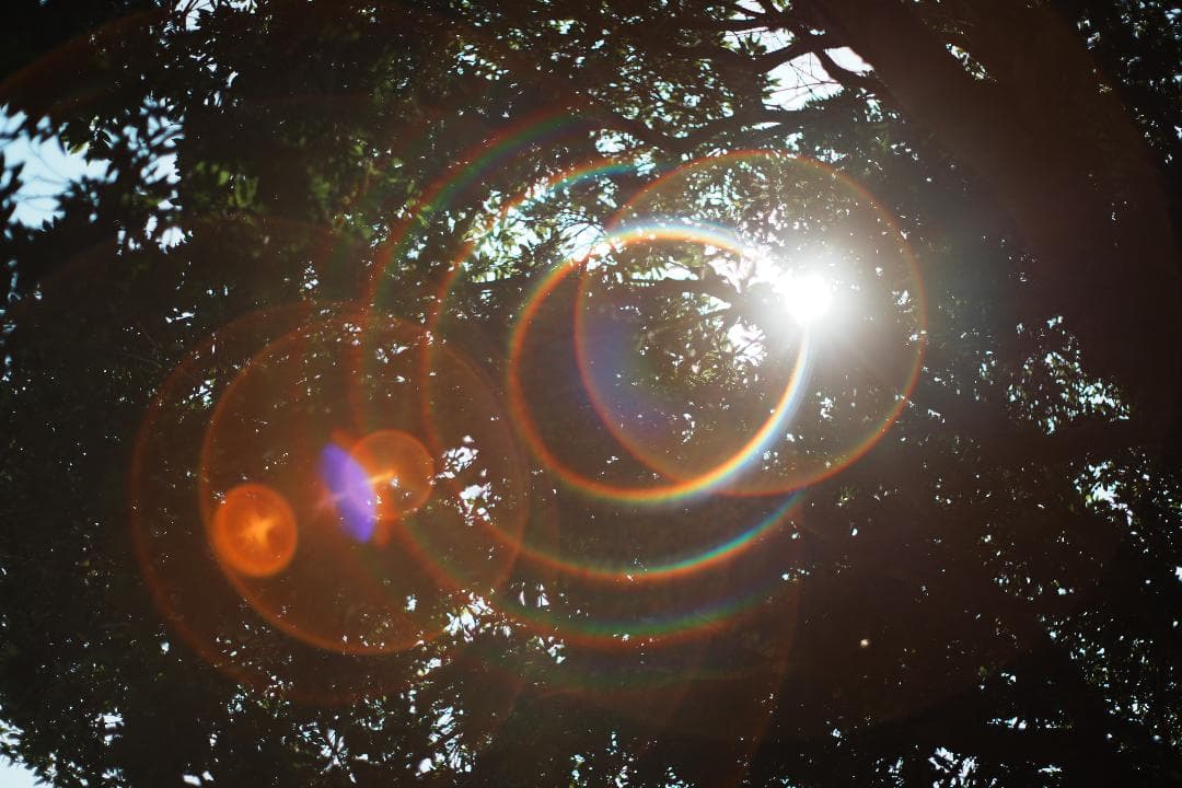 オールドレンズはここから Super Takumar 55mm F1.8 375