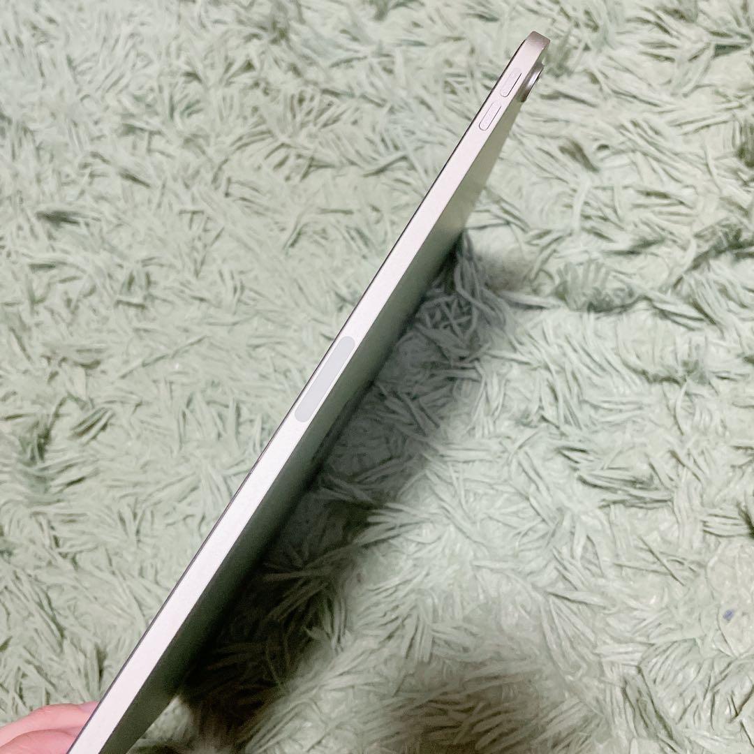 Apple iPad Airシルバー 本体