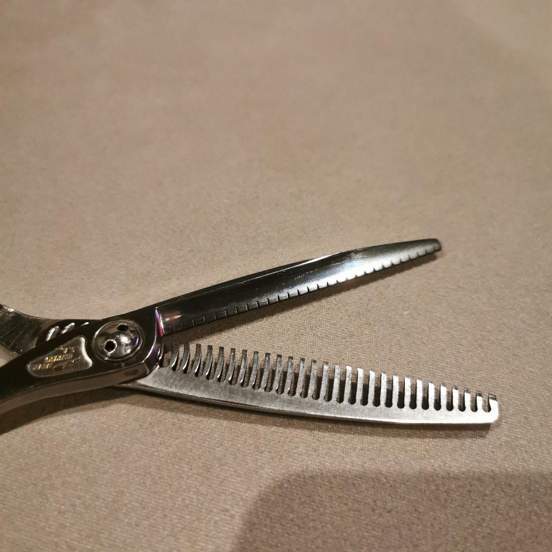 トギノン　サクセススター