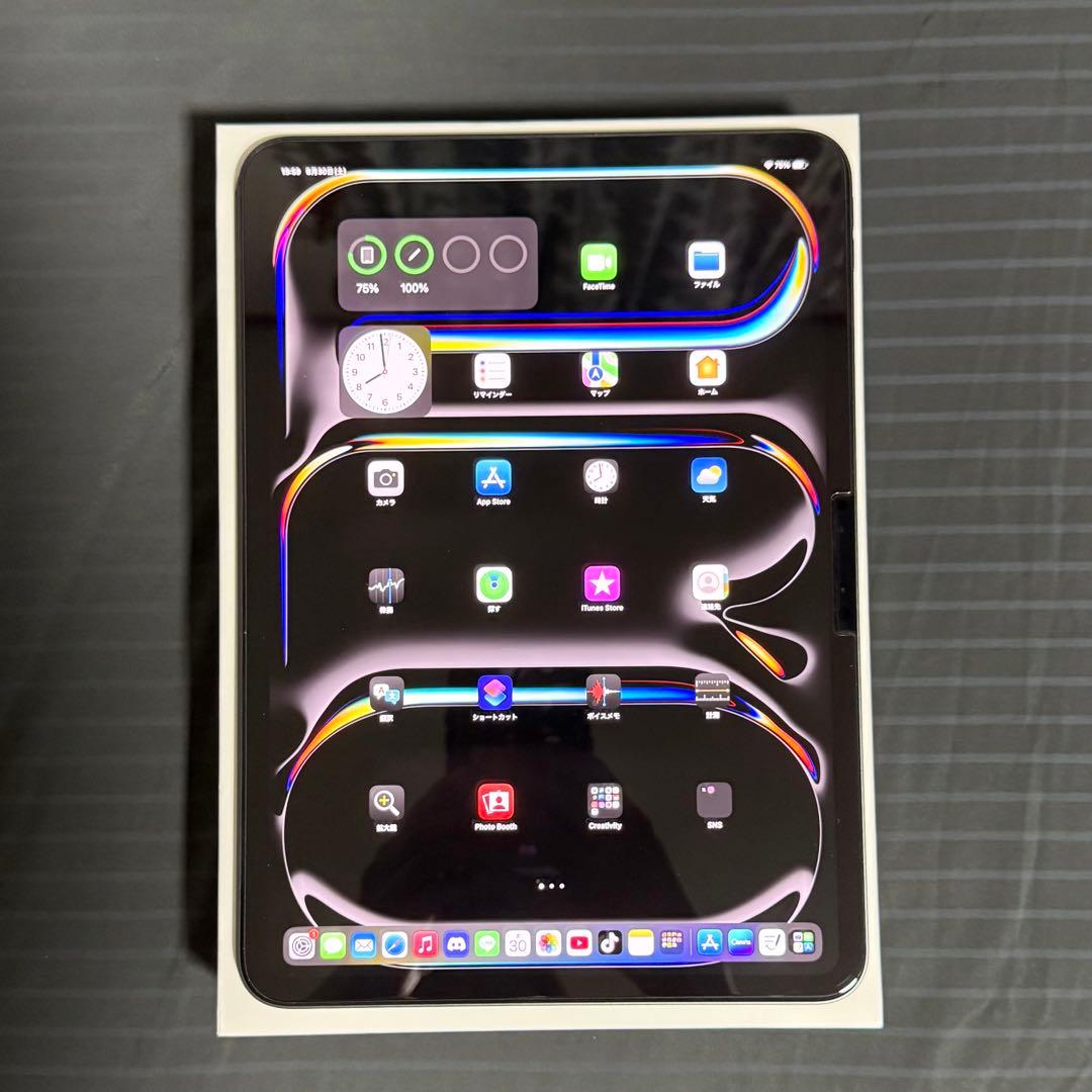 M4 iPad Pro/11インチ/256GB/スペースグレー/