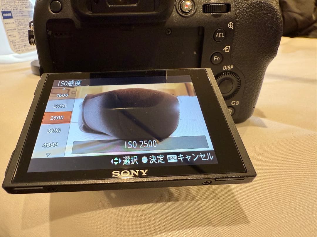 Sony RX 10Ⅲ DSC-RX10M3