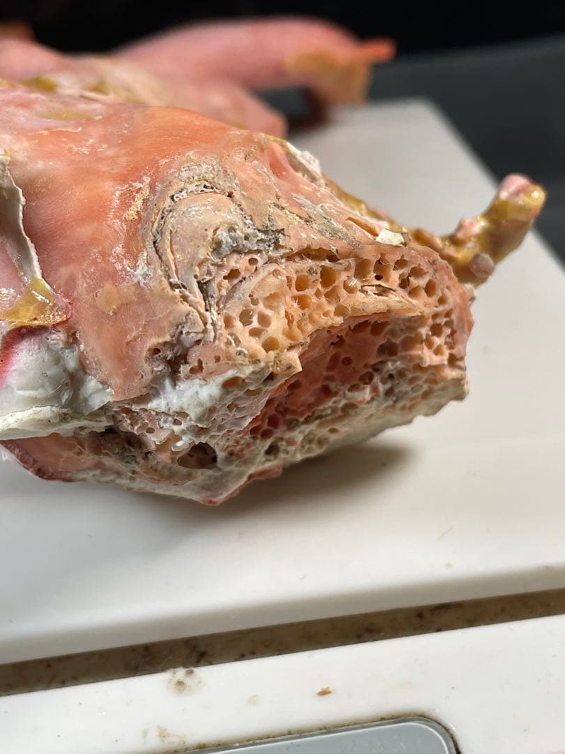 天然桃珊瑚 原木