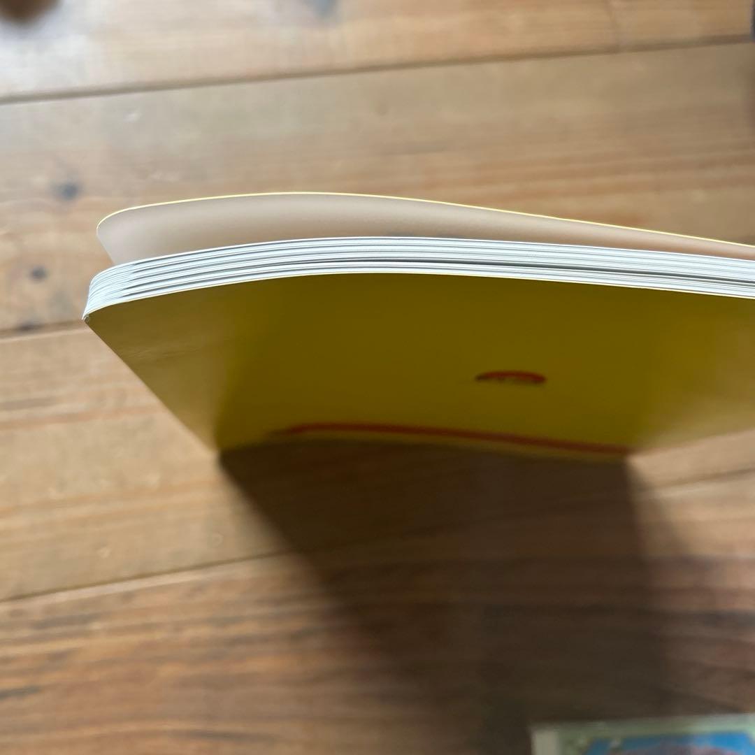 ズィッピー・アンド・ミー／Zippy and Me DVD(ZAM)セット