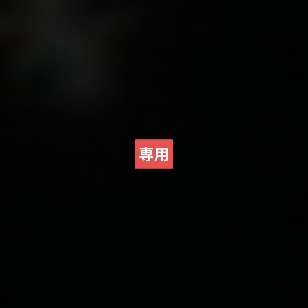 リョー　19枚セット