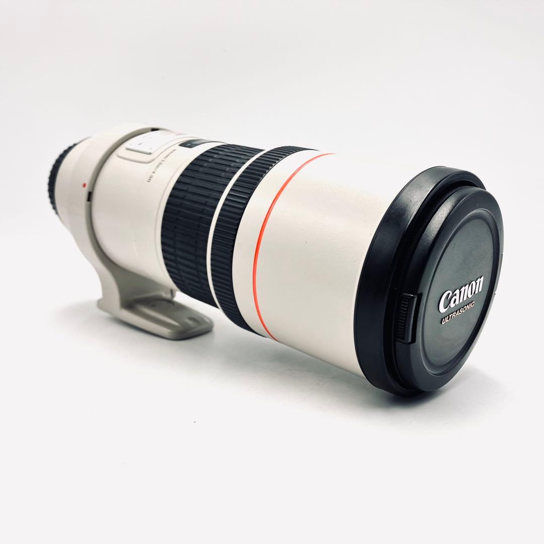 レンズ(単焦点) Canon EF 300mm F4 L USM