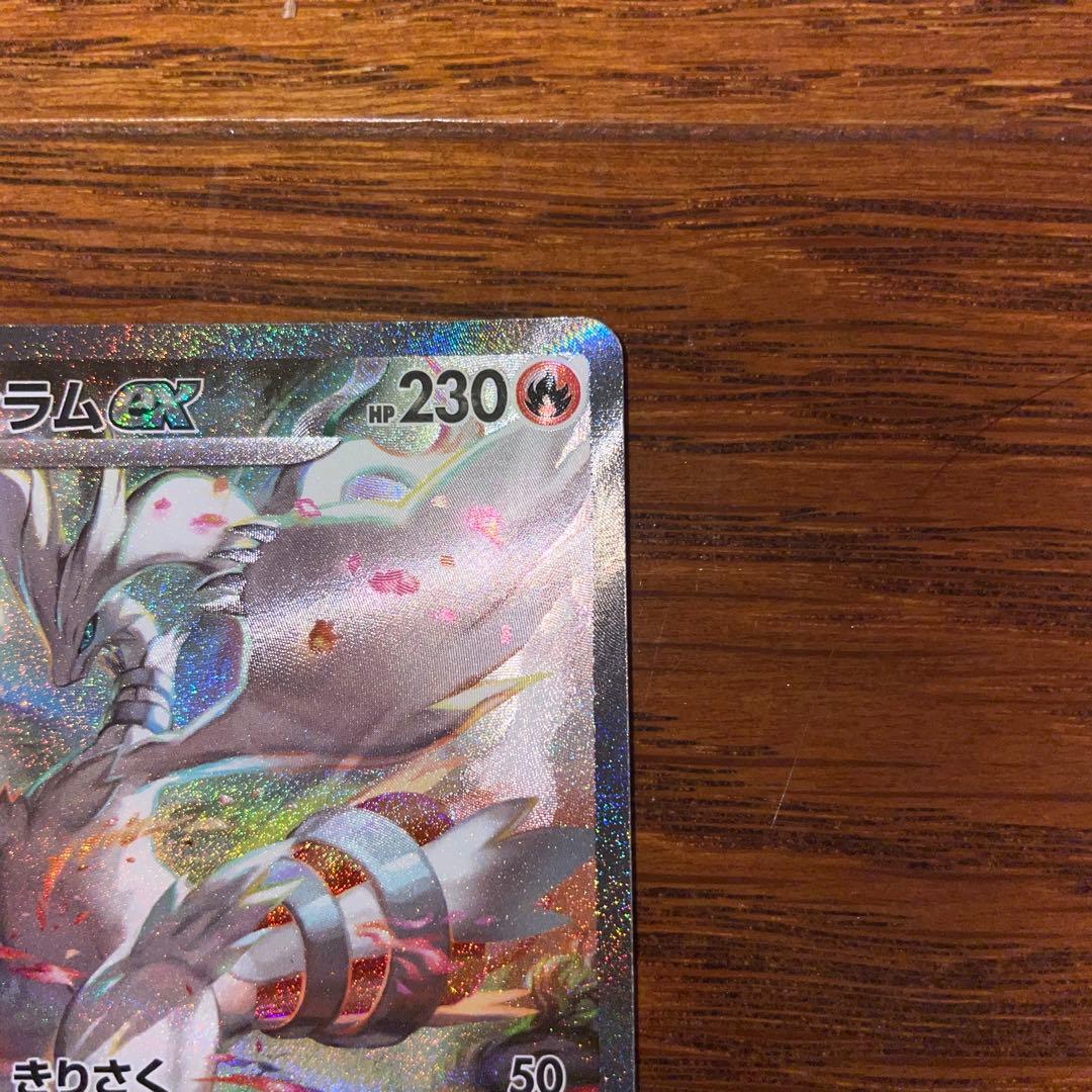 レシラムEX ポケモンカード SAR
