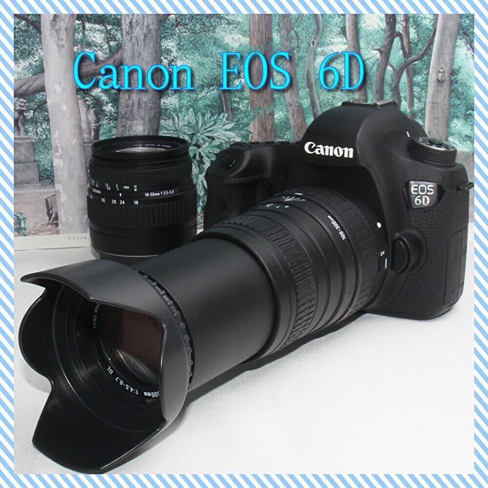 ☆はじめてのフルサイズ☆Canon EOS 6D 超望遠ダブルレンズセット