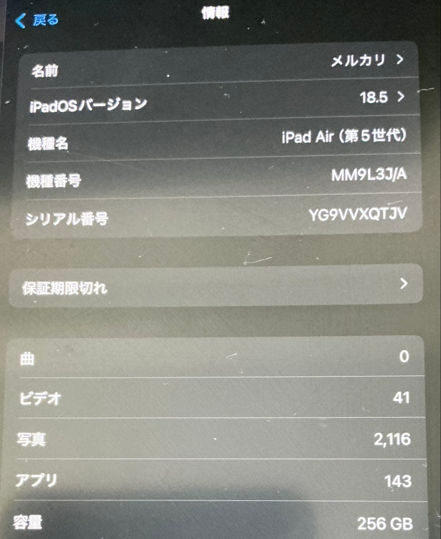 Myat Sandar Winさん専用 ipad256GB バッテリー残量92%