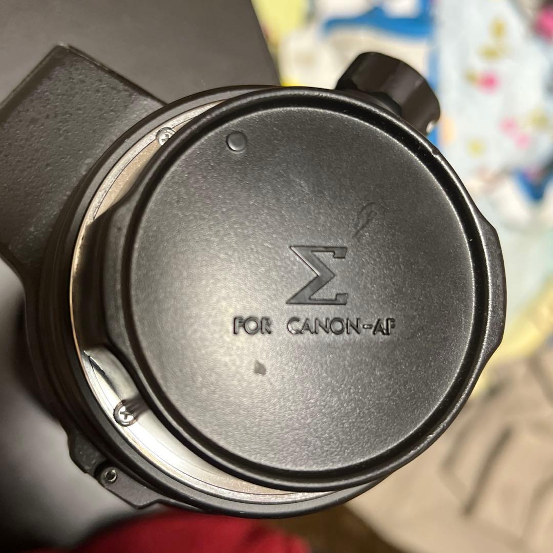 SIGMA 170-500mm F5.3 ズームレンズ