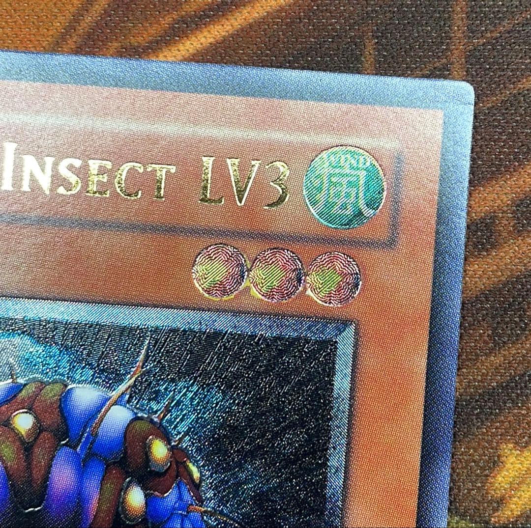 【遊戯王】アンティメットインセクトLv3【旧アジアレリーフ】