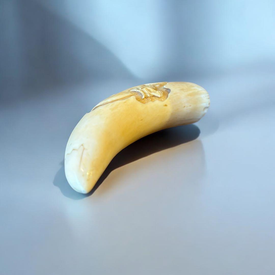 マッコウクジラ 鯨歯工芸品 抹香鯨 歯牙 鯨歯 歯鯨 在銘 牛 彫 169g