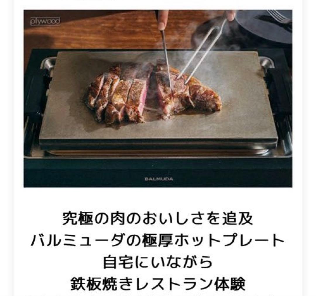 【正規店】 バルミューダ ザ・プレート プロ フルセット