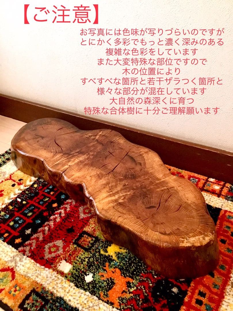 天然楢【神秘的な合体樹＊3本の木が一体化/森と大自然の切り株テーブル】ちゃぶ台