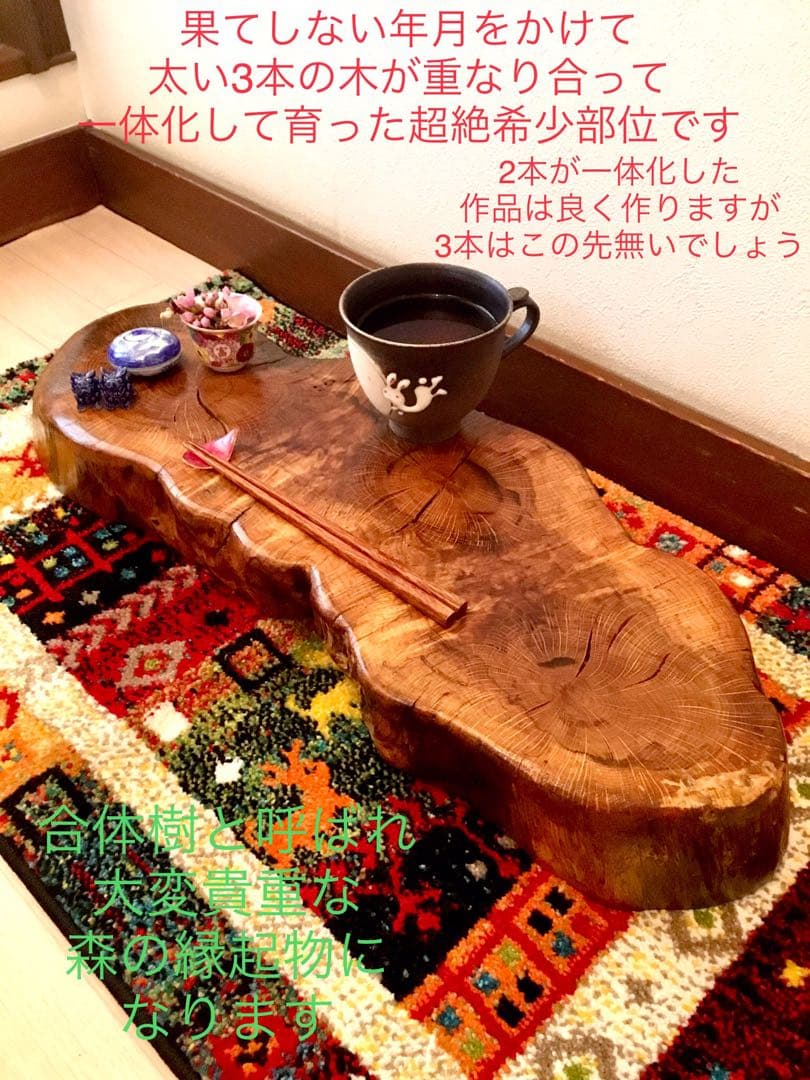 天然楢【神秘的な合体樹＊3本の木が一体化/森と大自然の切り株テーブル】ちゃぶ台