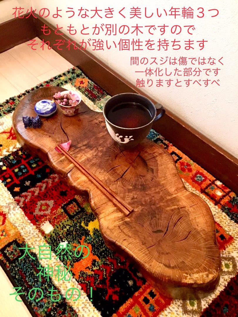 天然楢【神秘的な合体樹＊3本の木が一体化/森と大自然の切り株テーブル】ちゃぶ台
