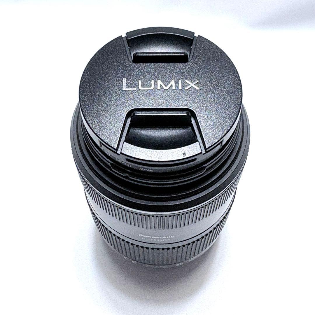 Panasonic LUMIX 望遠レンズ 45-200mm F4-5