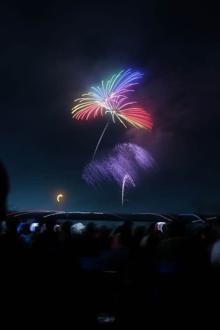 Fujifilm X-T30 ミラーレス一眼 カメラ