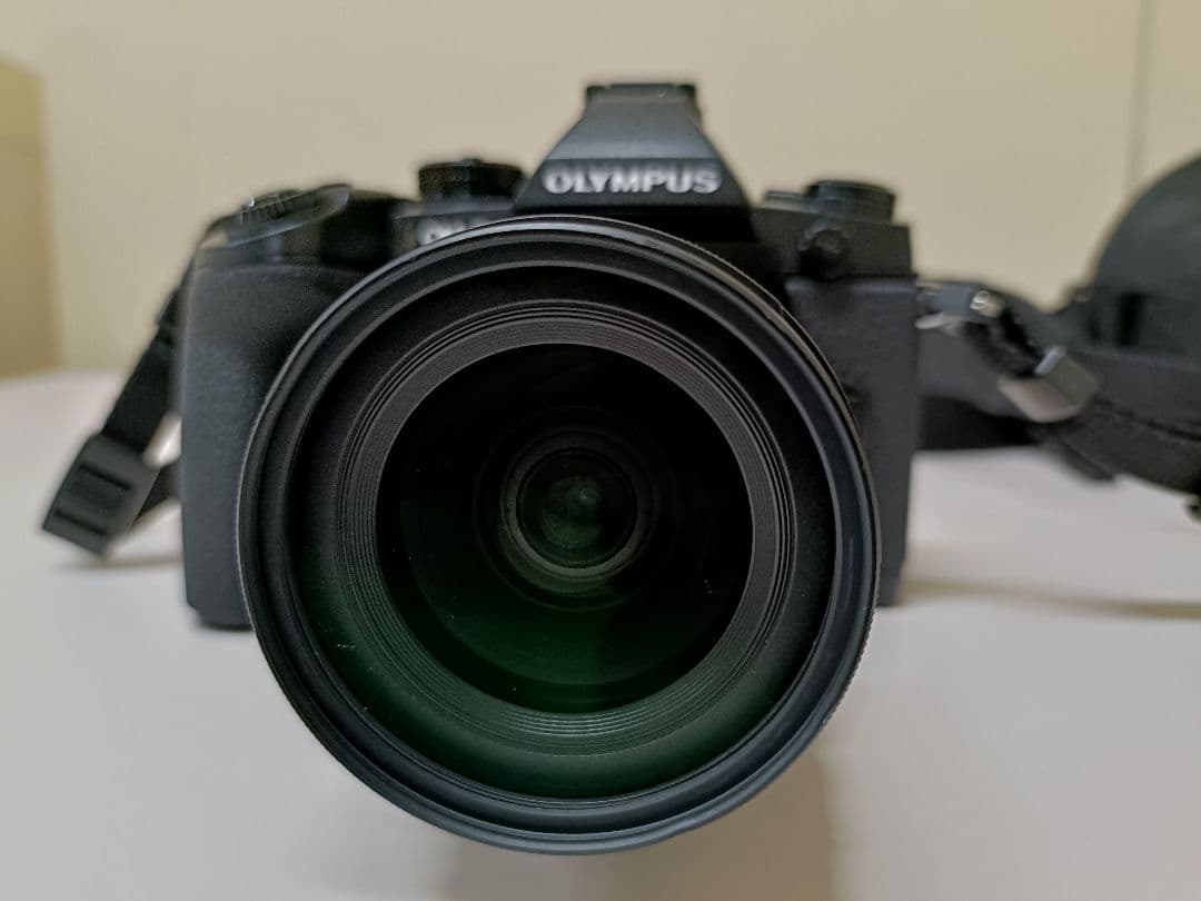 【美品2638回】OLYMPUS OM-D E-M1 ミラーレス一眼カメラ