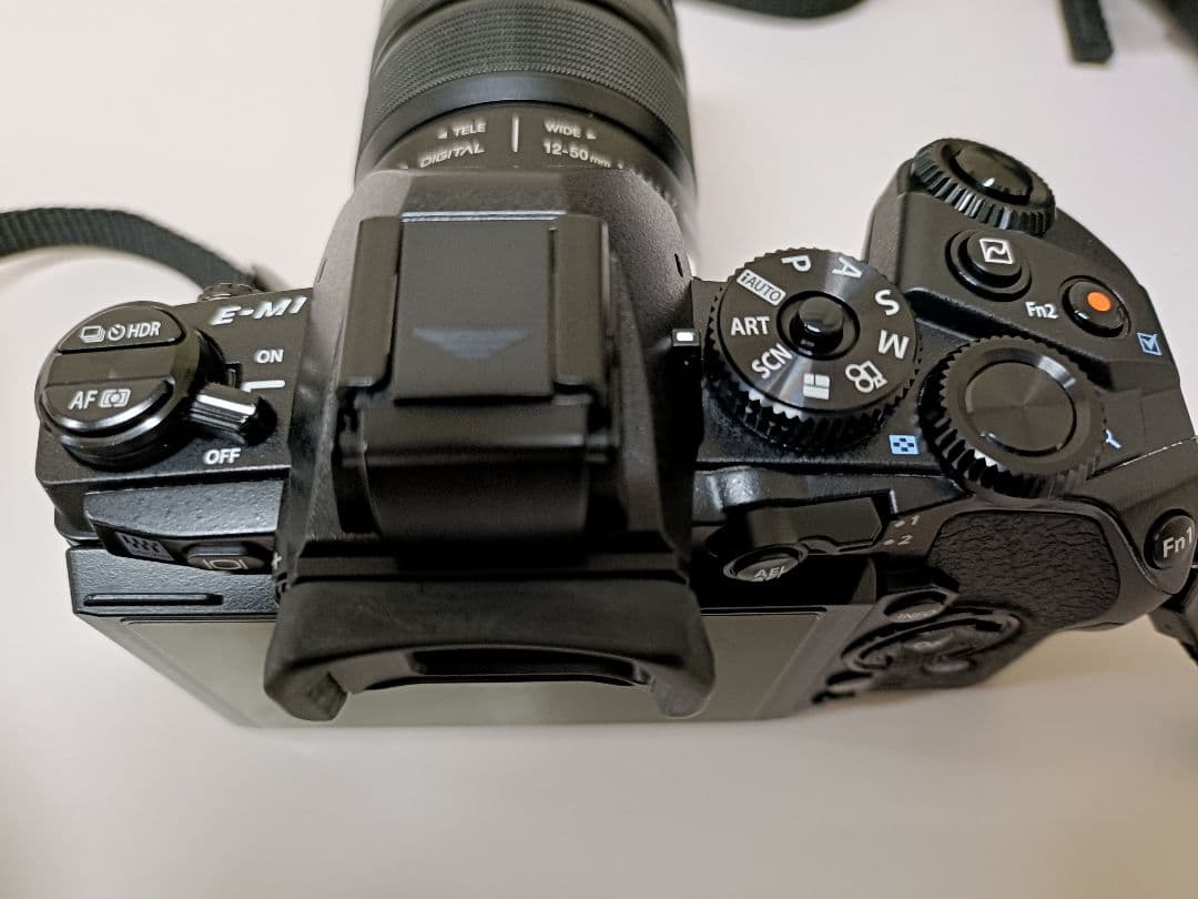 【美品2638回】OLYMPUS OM-D E-M1 ミラーレス一眼カメラ