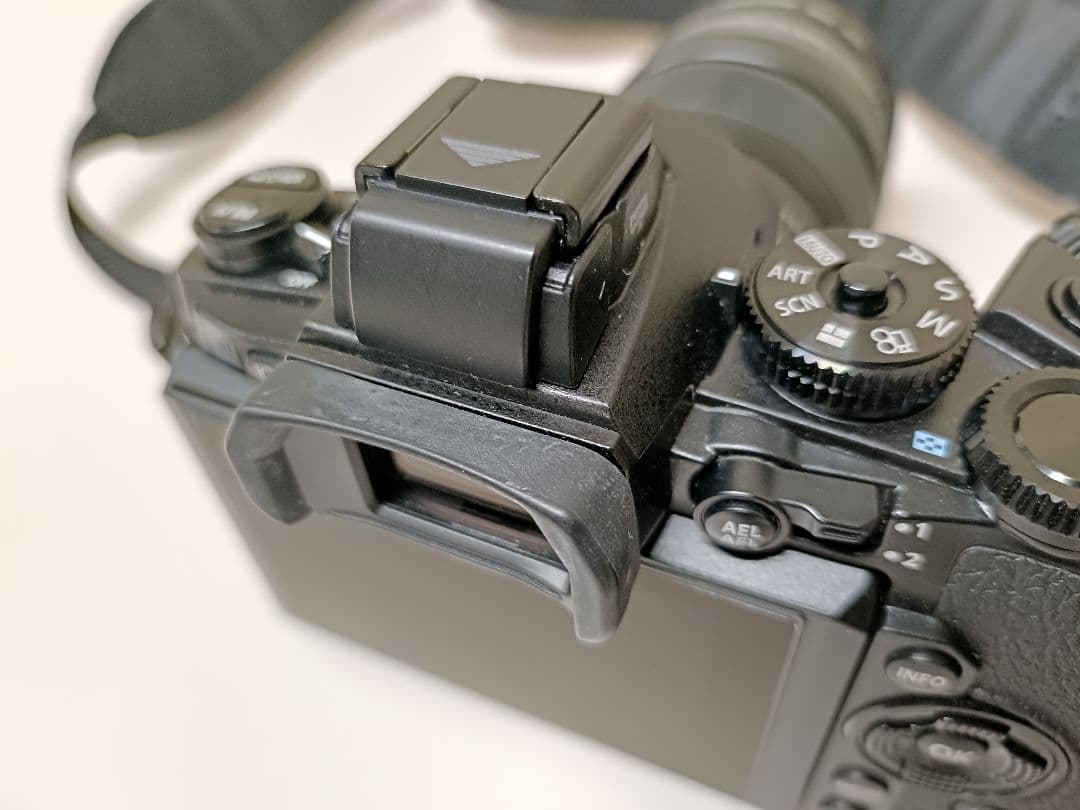 【美品2638回】OLYMPUS OM-D E-M1 ミラーレス一眼カメラ