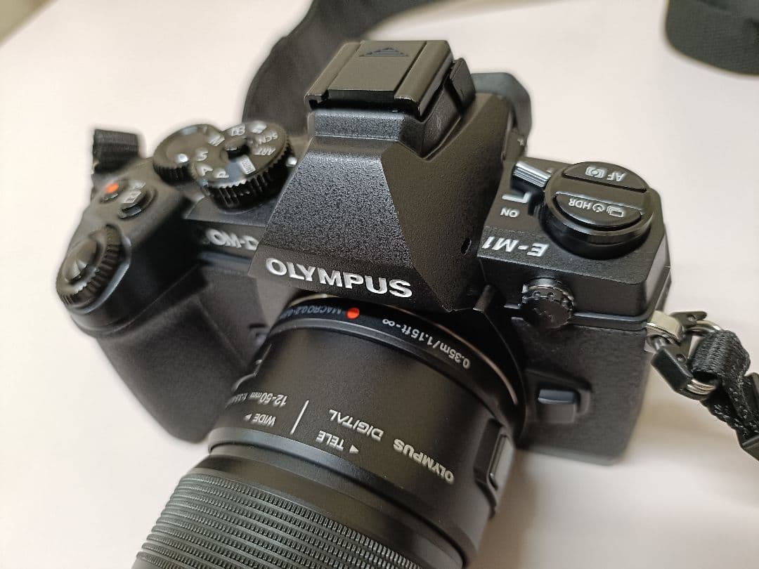 【美品2638回】OLYMPUS OM-D E-M1 ミラーレス一眼カメラ