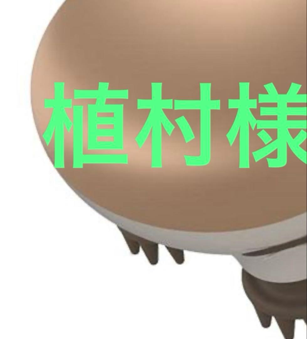 植村さま専用です