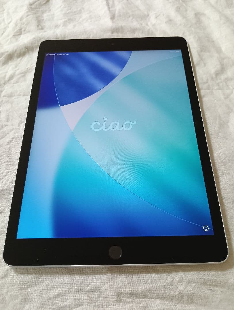 超美品 iPad 第9世代 バッテリー99%