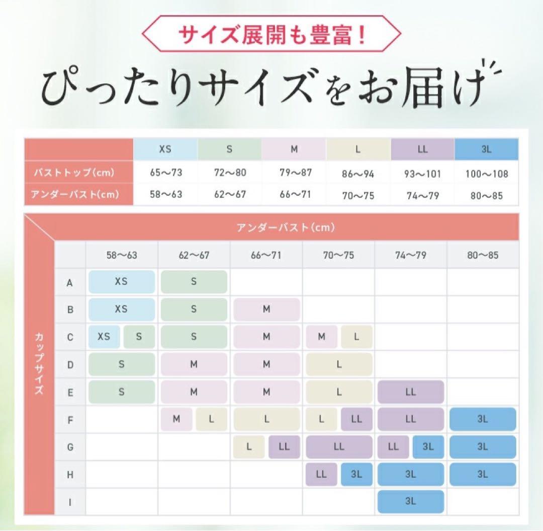 PGブラ ネイビー Ｌサイズ1枚