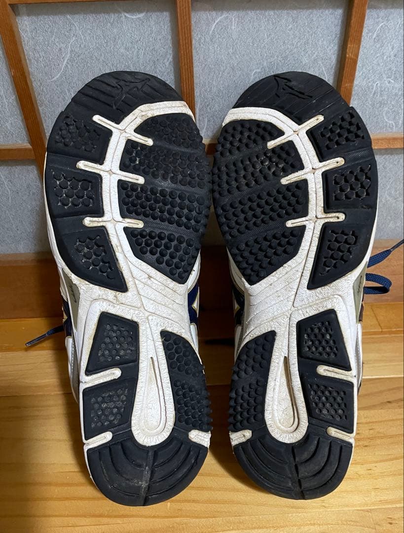 ミズノ　グローバルエリート　オーダートレーニングシューズ