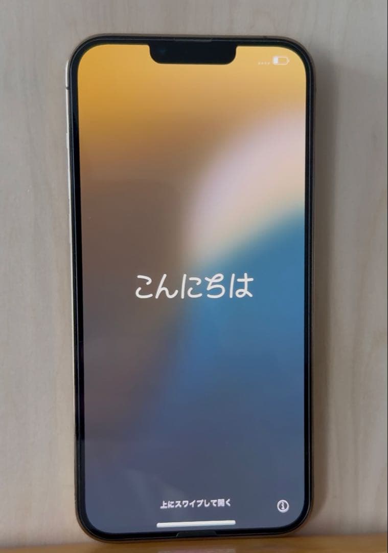 Apple iPhone 13 Pro Max 1TB 本体