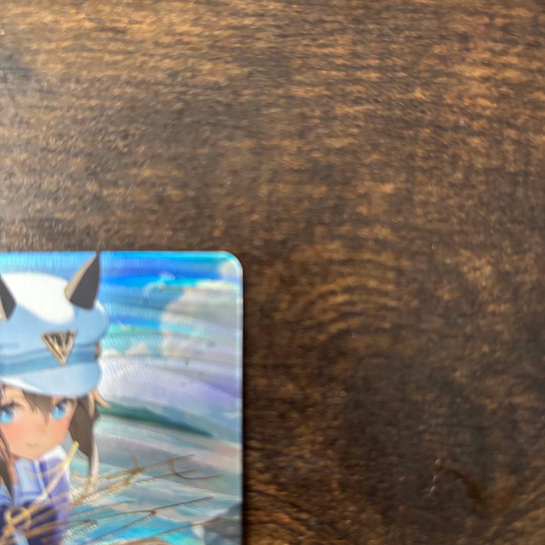 早い者勝ち　シュヴァルグラン SP シャドウバースエボルヴ