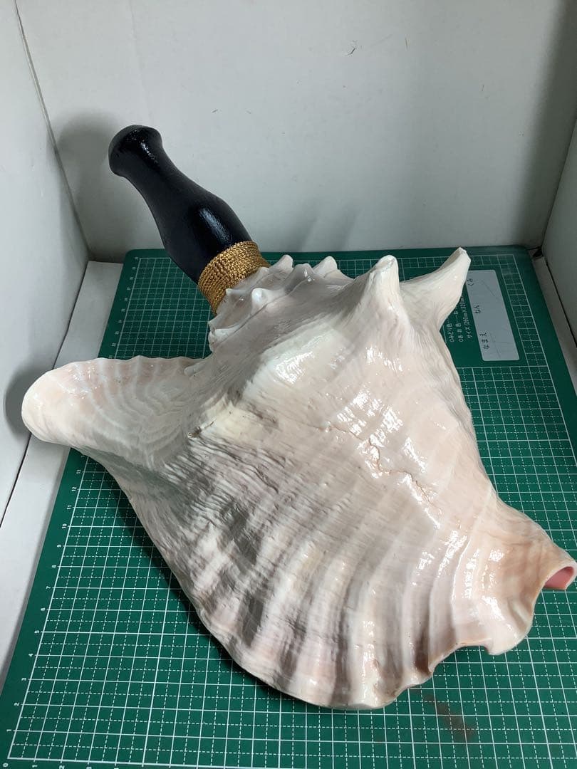 ヤフメリ55・ピンクガイ・法螺貝・山伏・修験者・戦国武将・金峯山・羽黒山・縁起物