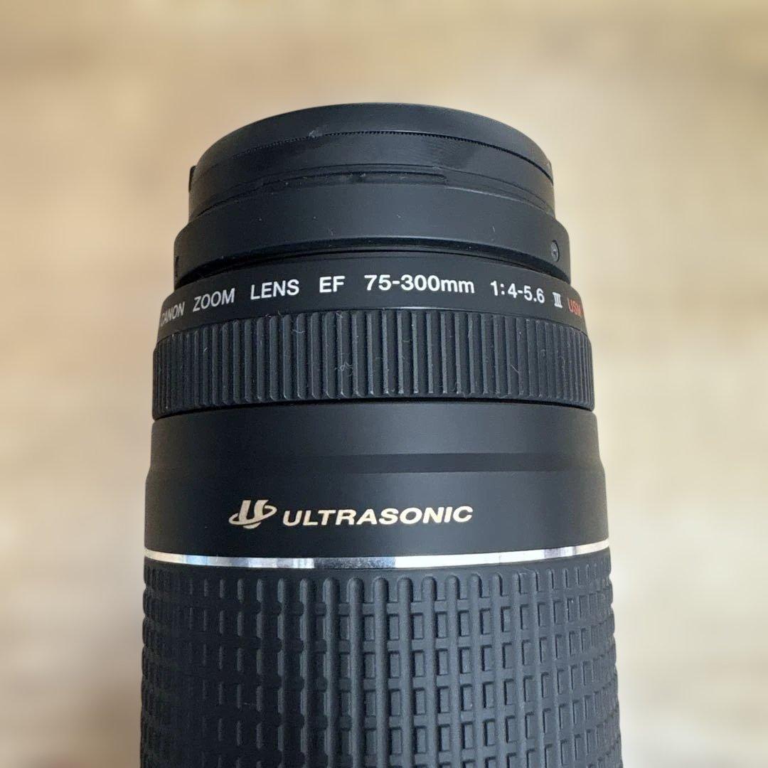 備品 Canon EF75-300mm F4-5.6 Ⅲ USM