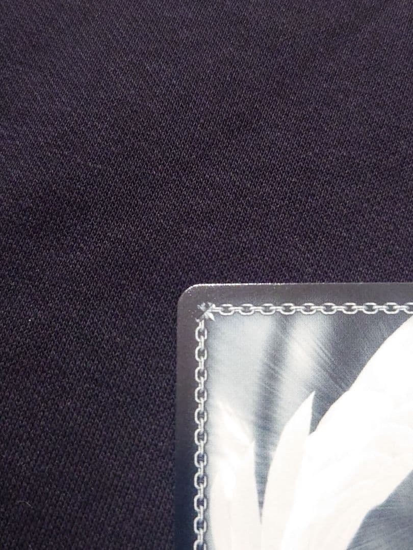 ヴァイス ウマ娘　舞台の真ん中にダンツフレーム　SP　サイン