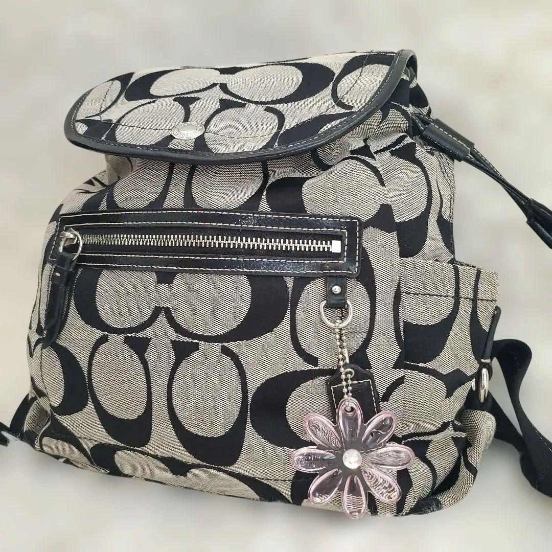 ⭐極美品⭐COACH シグネクチャー バックパック キャンバス×レザー
