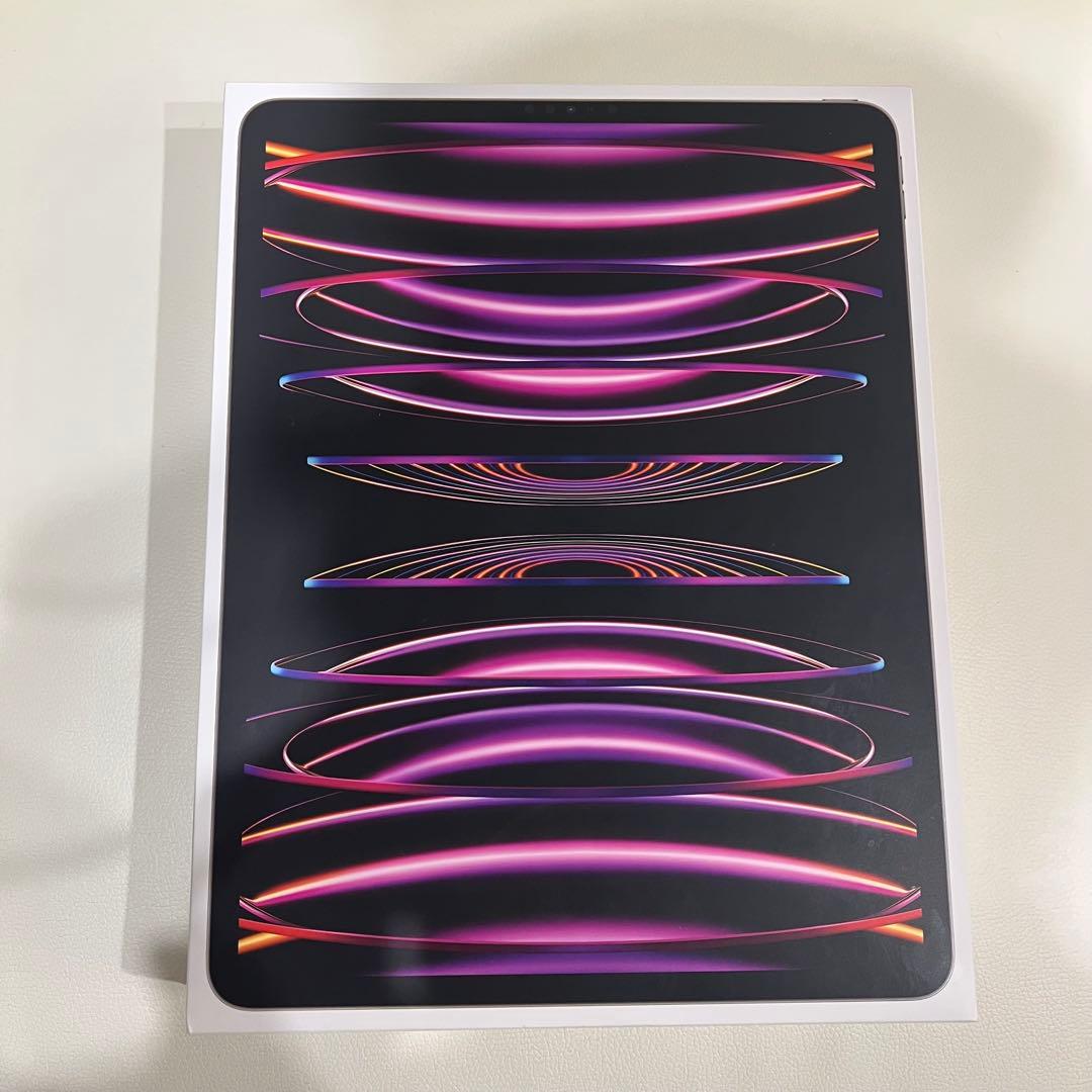 Apple Pencil付きiPad Pro 12.9インチ 第6世代 1TB