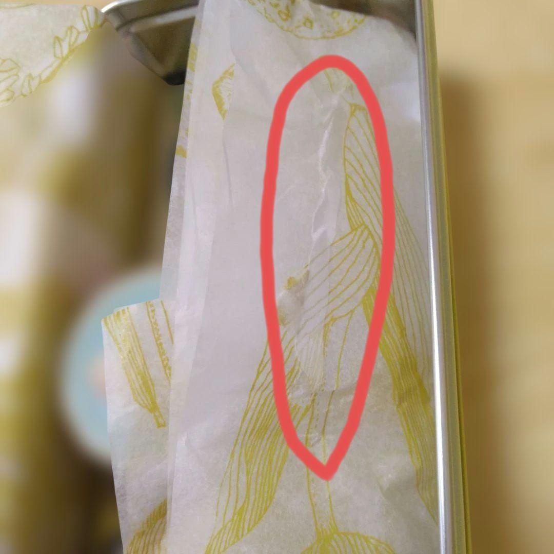 【限定品】紙博　いのうえ彩　2023 缶セット