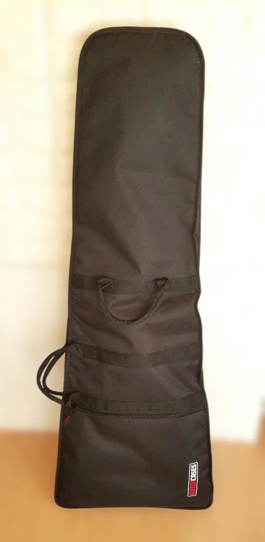 【値引中】PLAYTECH FV430 フライングVカスタム ソフトーケース付