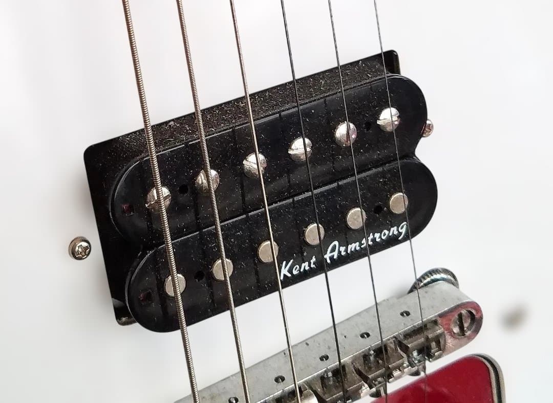 【値引中】PLAYTECH FV430 フライングVカスタム ソフトーケース付