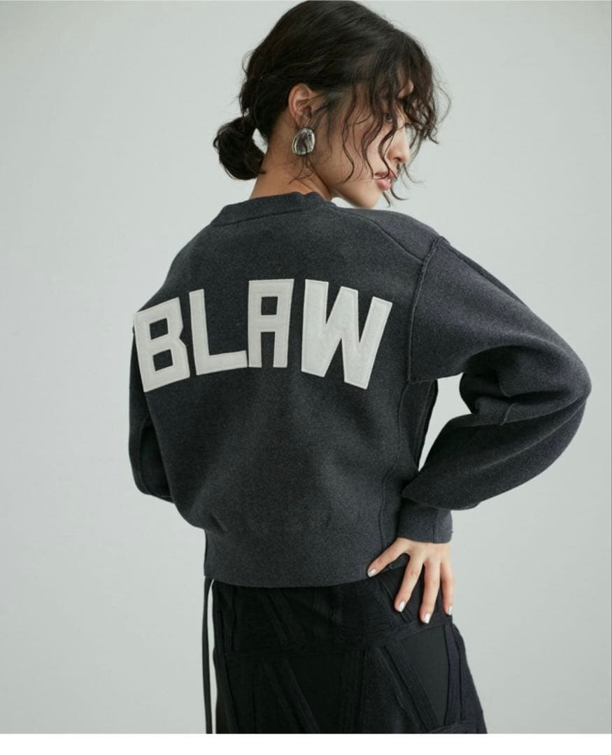 ADAM ET ROPE' フェルト刺しゅうニットプルオーバー 36