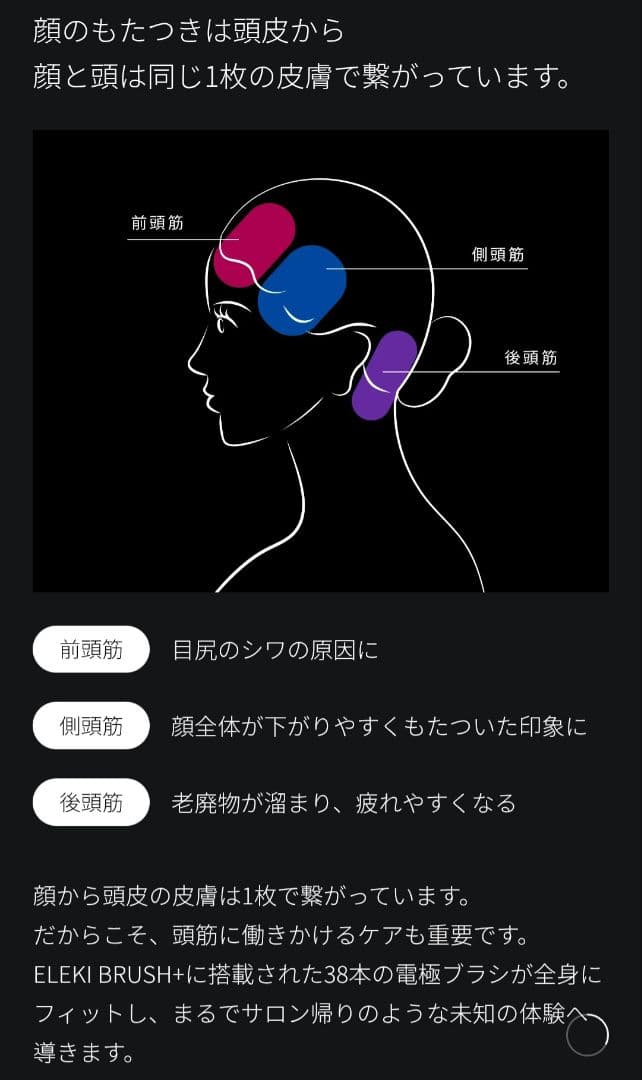 ◆Brighte ELEKI ブライト エレキブラシ BRT-FS145B