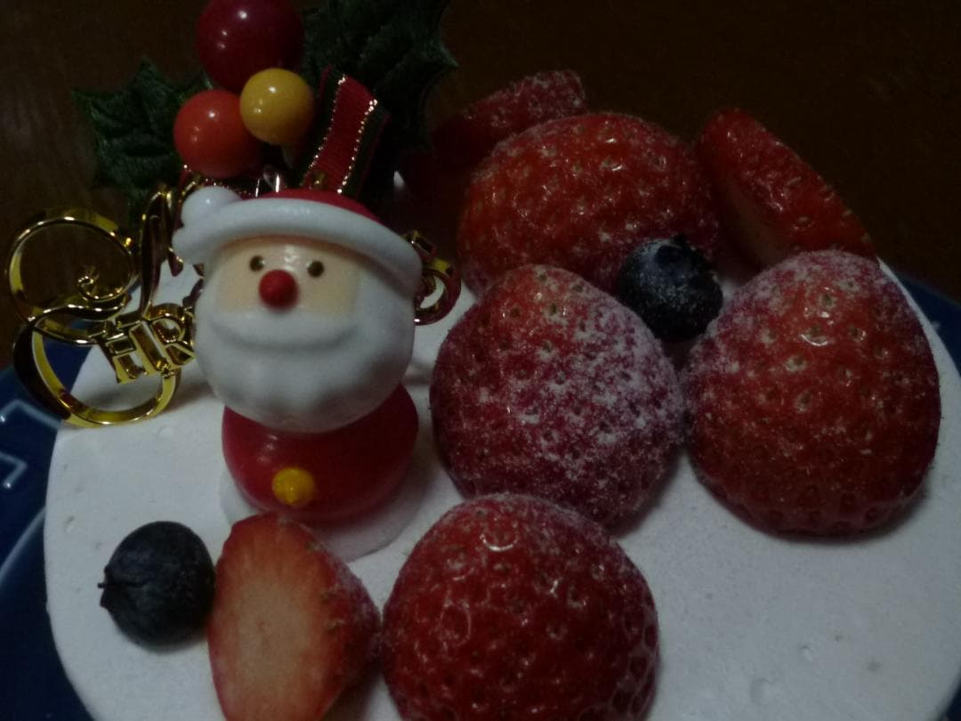 パナソニック　コンデジ　LUMIX DMC-TZ10