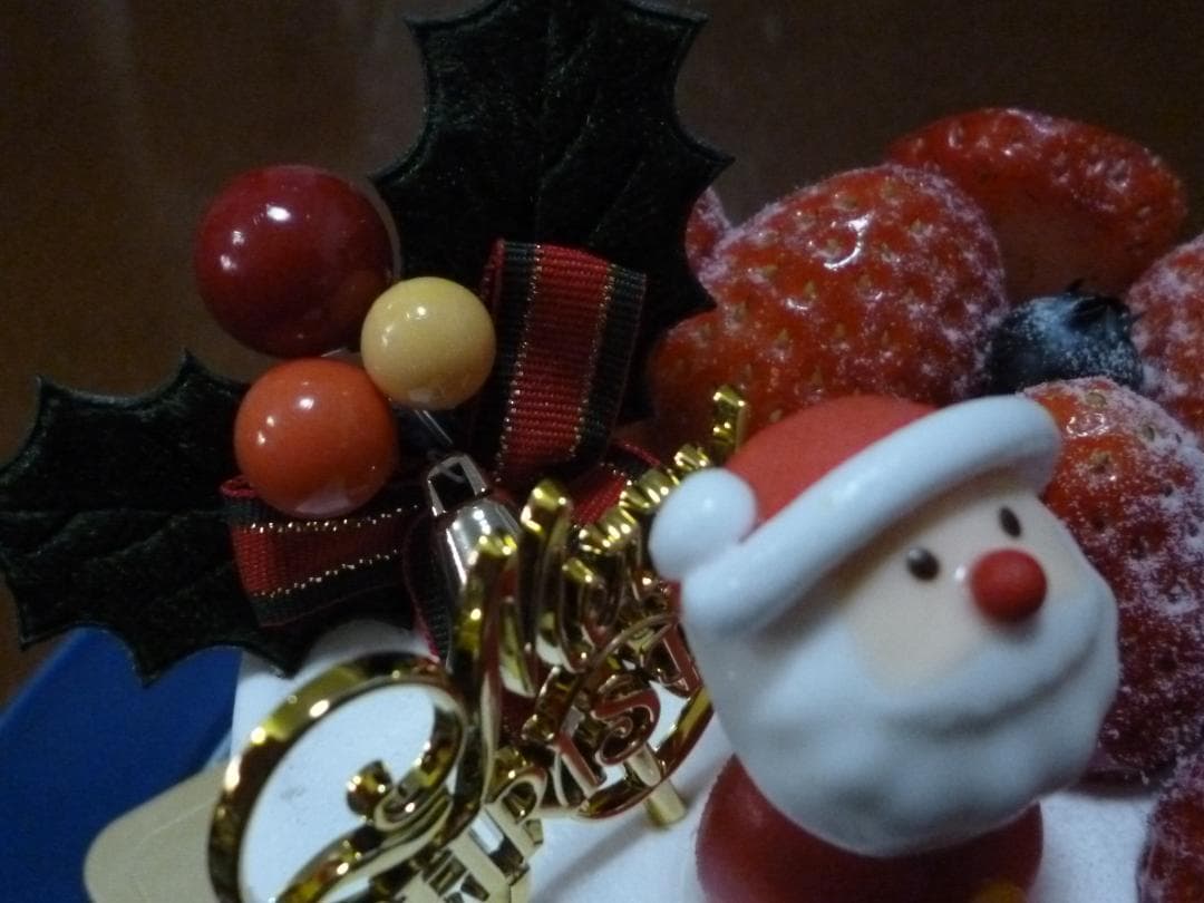 パナソニック　コンデジ　LUMIX DMC-TZ10