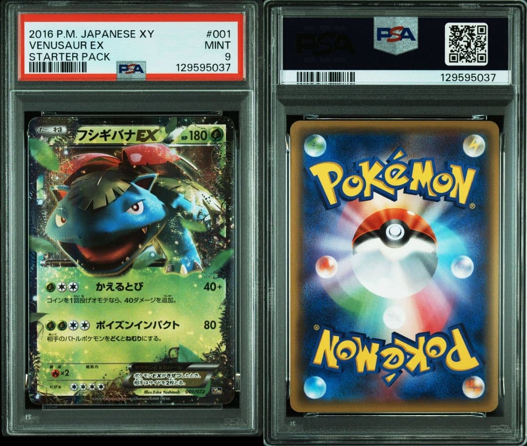 カメックスex　リザードンex　フシギバナex　PSA10 PSA9 3連番