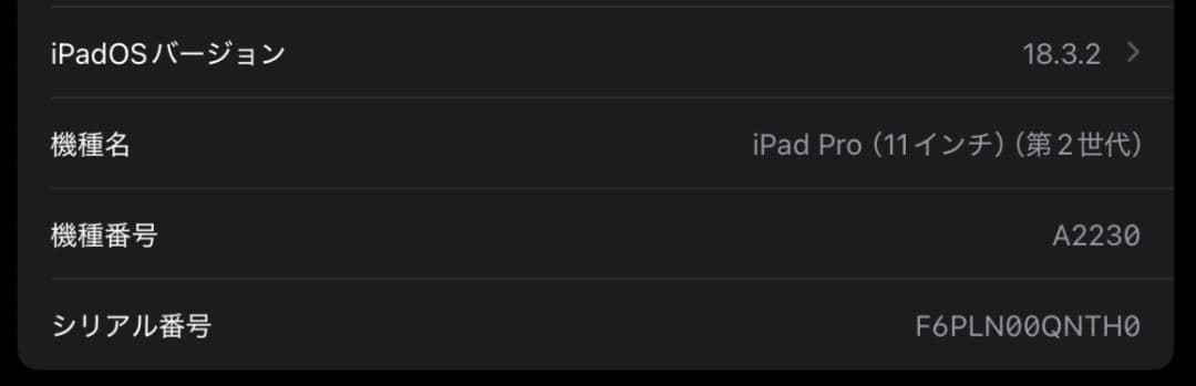 iPad Pro 11インチ 第2世代 Wi-Fi+Cellular 256GB