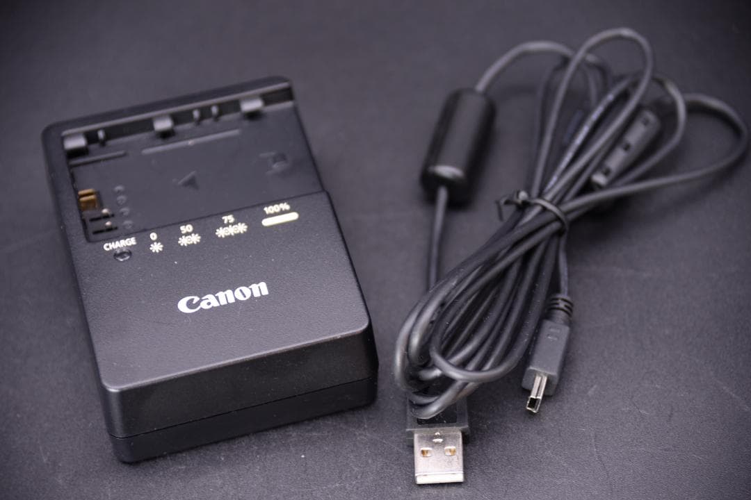 Canon キヤノン EOS 6D ボディ デジタル一眼 EFマウント